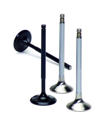 SuperTech_Valves SuperTech_Valves